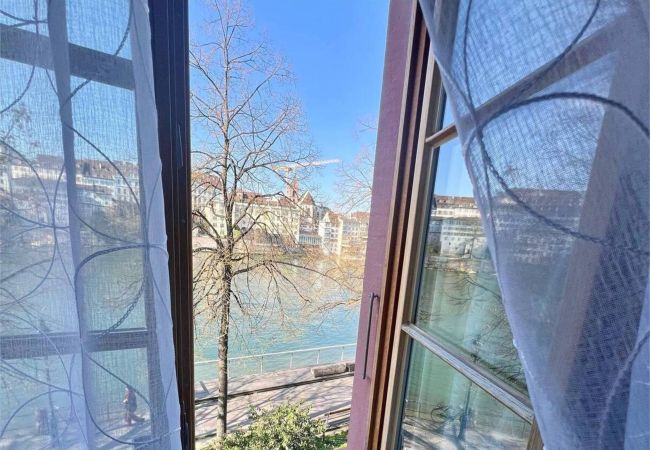 Apartment in Basel - Casa Rheinblick - Apartment (B)