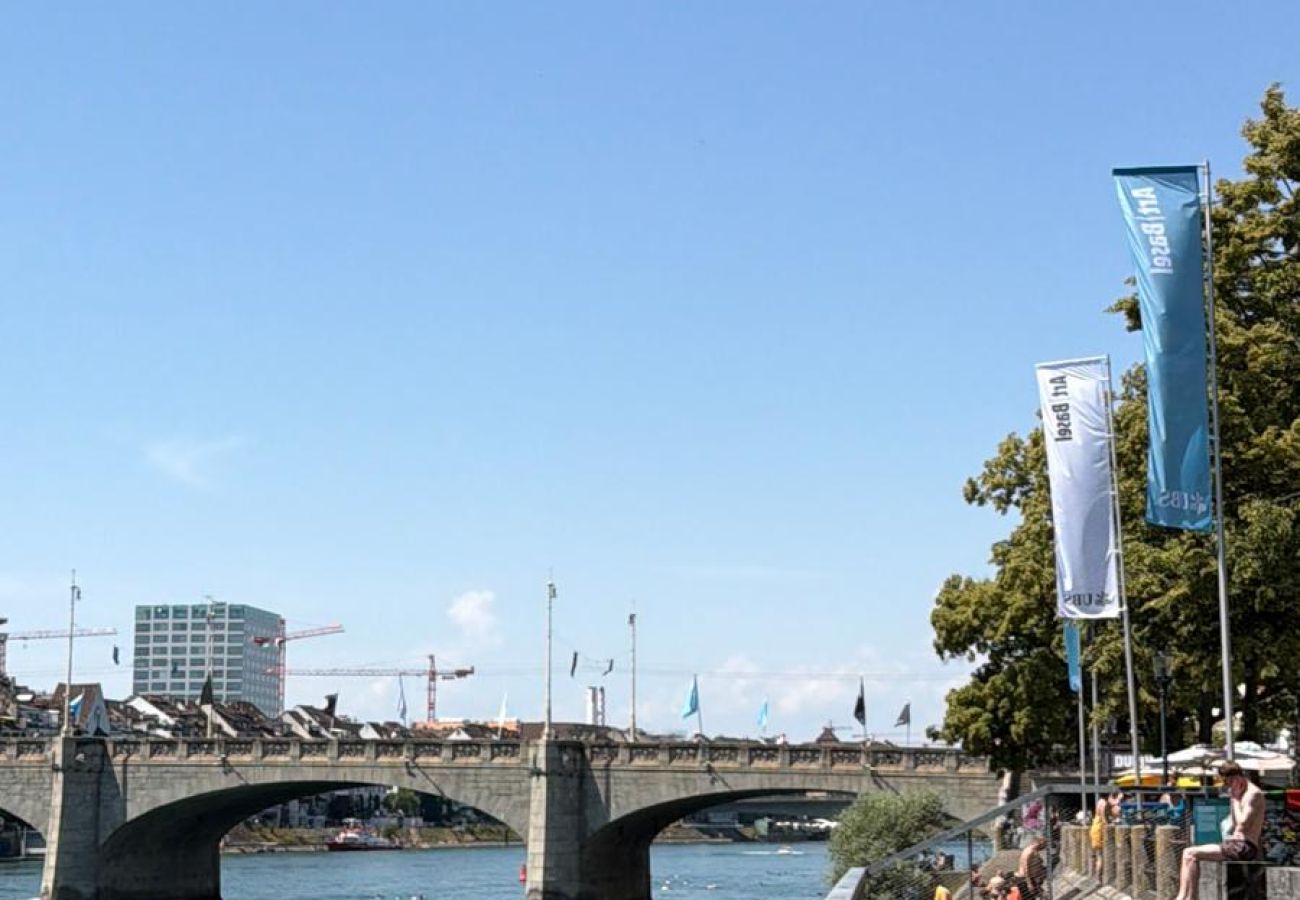 Apartment in Basel - Casa Rheinblick - Apartment (B)
