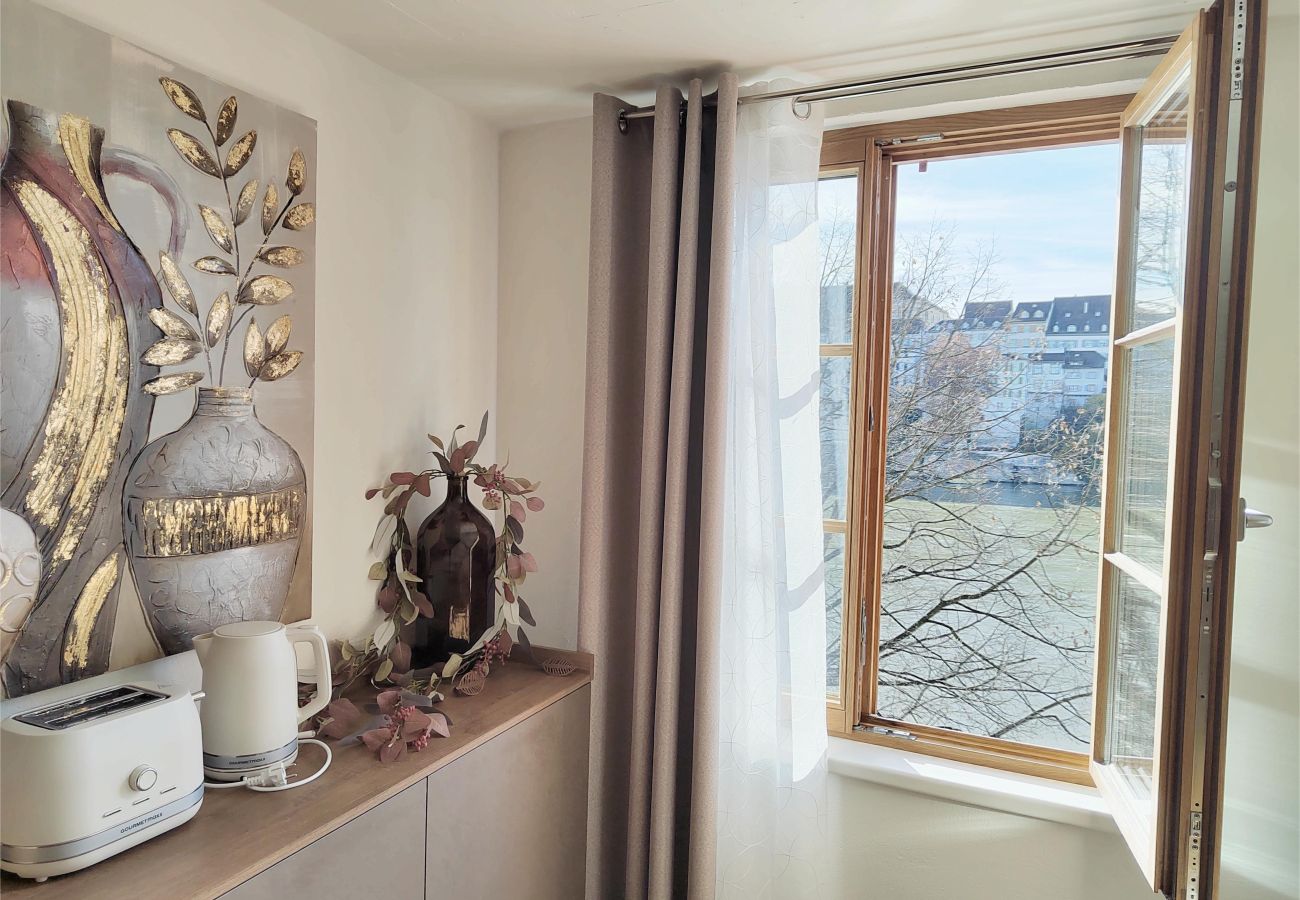 Apartment in Basel - Casa Rheinblick - Apartment (C)