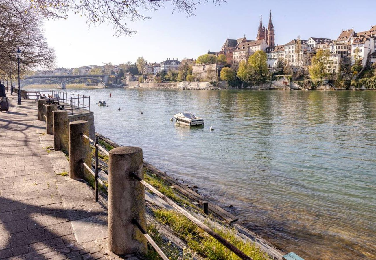Apartment in Basel - Casa Rheinblick - Apartment (C)
