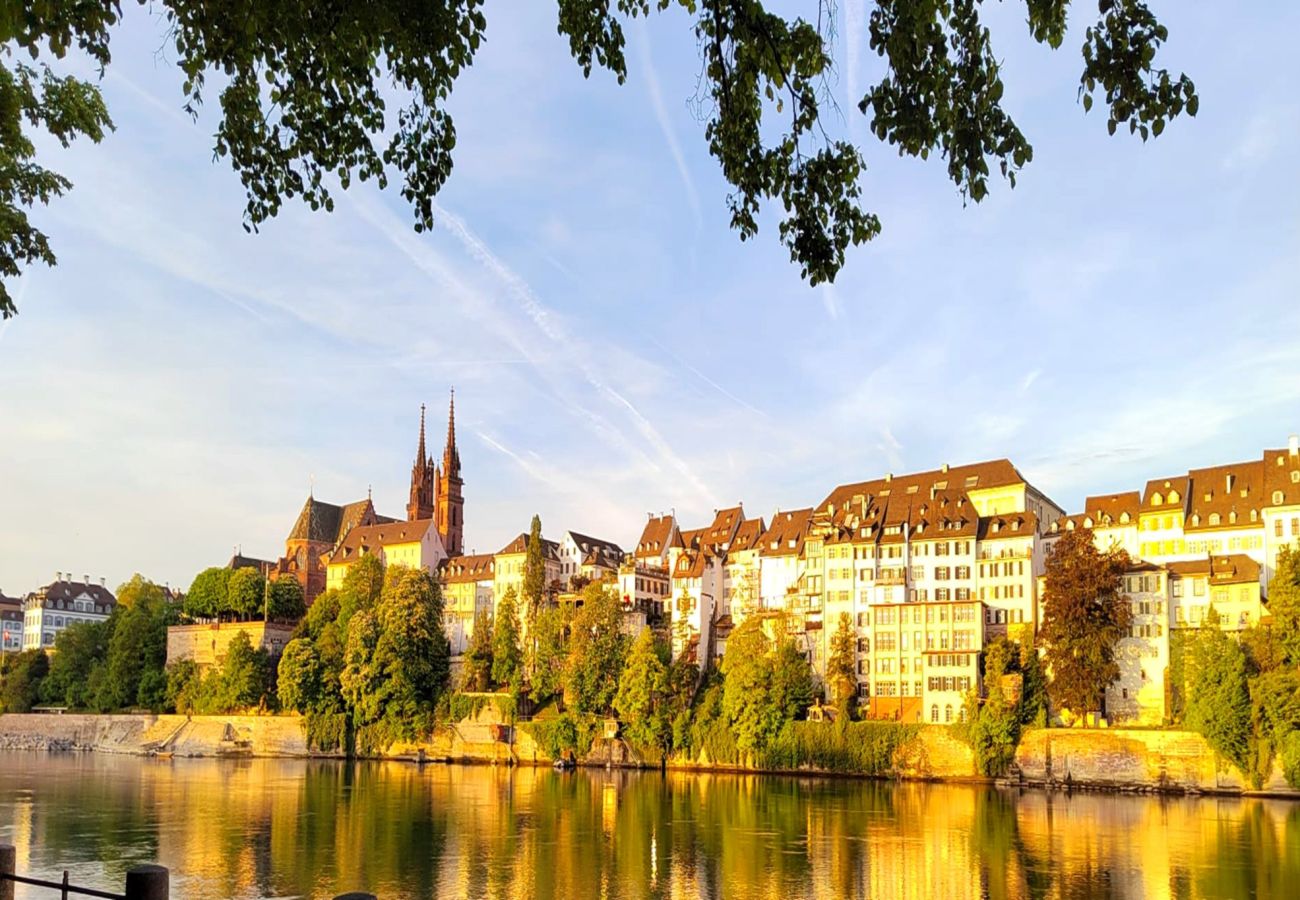 Apartment in Basel - Casa Rheinblick - Apartment (C)