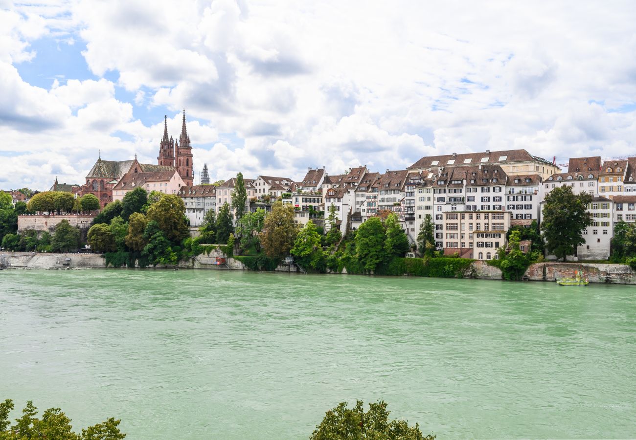 Apartment in Basel - Casa Rheinblick - Apartment (D)