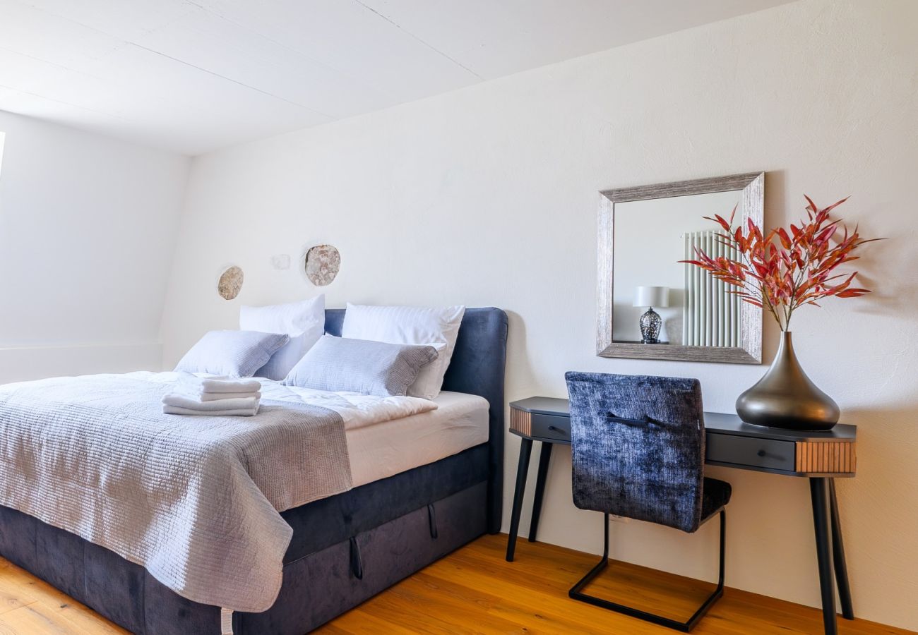 Apartment in Basel - Deluxe Suite